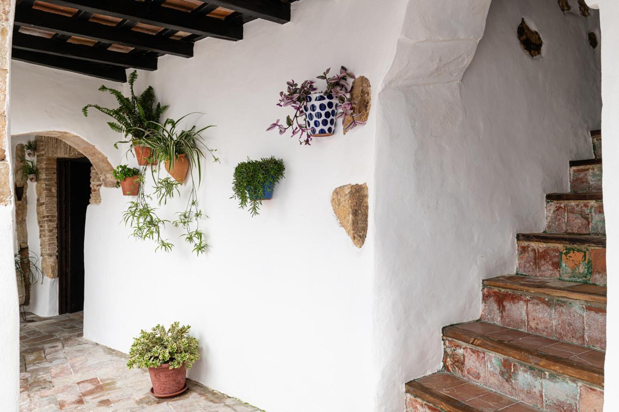 Casa Lunarito Vejer de la Frontera Eksteriør bilde